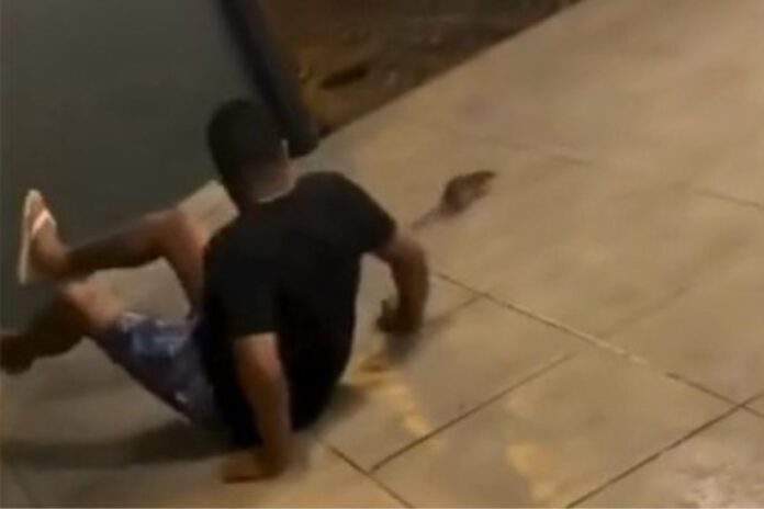 video:-rato-causa-confusao-em-hamburgueria-e-faz-funcionario-cair