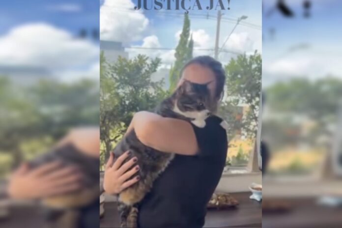 video:-protetores-pedem-justica-apos-psicologo-torturar-e-matar-gatos