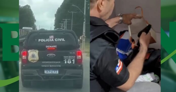 nove-pessoas-sao-presas-em-operacao-da-policia-civil-contra-o-narcotrafico-no-interior-baiano