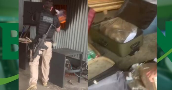 policia-civil-incinera-230kg-de-drogas-apreendidos-em-vitoria-da-conquista