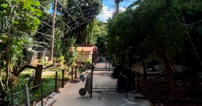 fechado-desde-o-carnaval,-zoologico-de-salvador-se-prepara-para-reabertura-em-maio