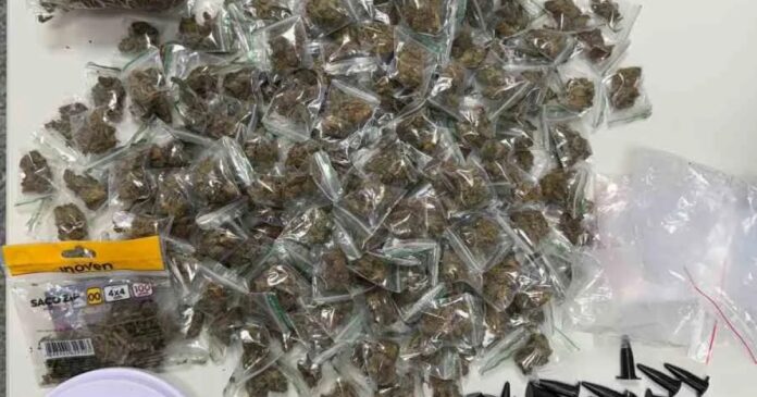 65a-cipm-apreende-grande-quantidade-de-drogas-em-feira-de-santana