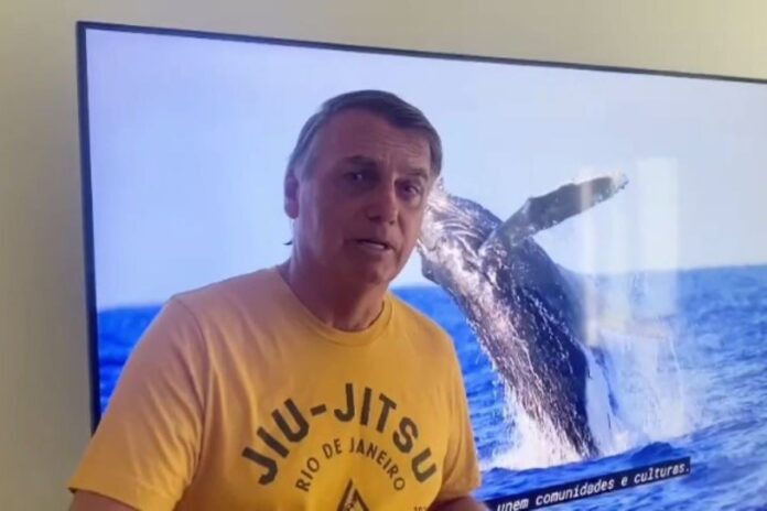 mpf-arquiva-inquerito-contra-bolsonaro-por-importunacao-de-baleia