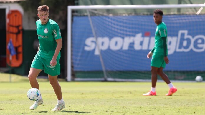 bruno-fuchs-mira-taca-da-libertadores-com-palmeiras-apos-vice-pelo-atletico-mg:-‘todos-sonham’