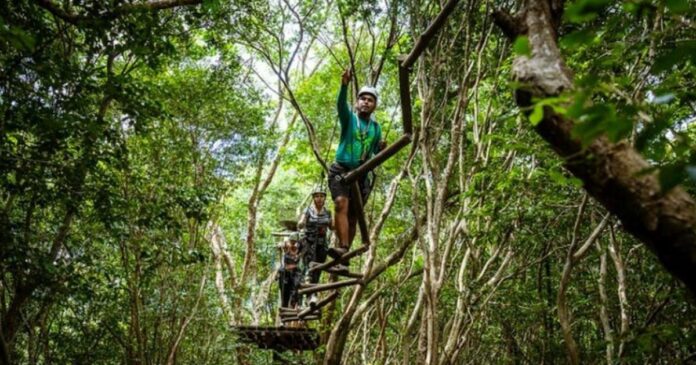 davidson-pelo-mundo:-turismo-brasileiro-em-constante-mutacao