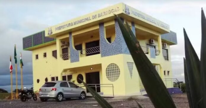 prefeitura-da-regiao-sisaleira-vai-apreender-animais-de-medio-e-grande-porte-soltos-em-ruas