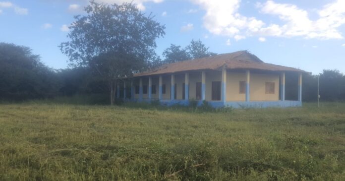 assentamento-no-oeste-baiano-e-multado-por-desmatar-area-sem-autorizacao-ambiental