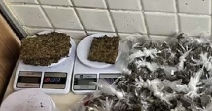 equipes-da-rondesp-localizam-suspeitos-com-mais-de-2-mil-trouxas-de-maconha-em-pernambues