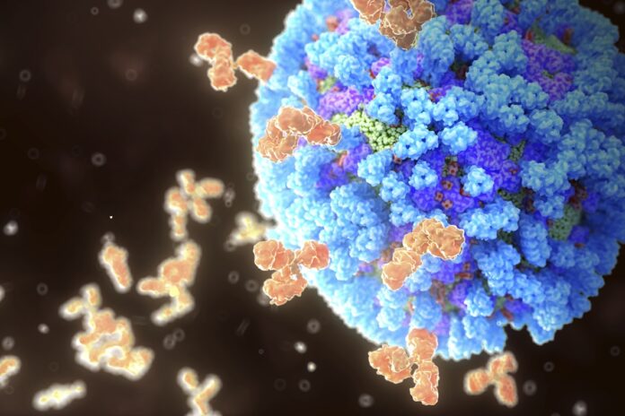 como-os-virus-borram-as-fronteiras-da-definicao-do-que-e-vida