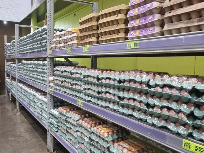 exportacao-de-ovos-dispara-mais-de-340%-em-marco-de-2025