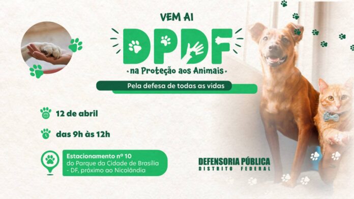 defensoria-publica-do-df-faz-1a-edicao-de-evento-pela-protecao-animal