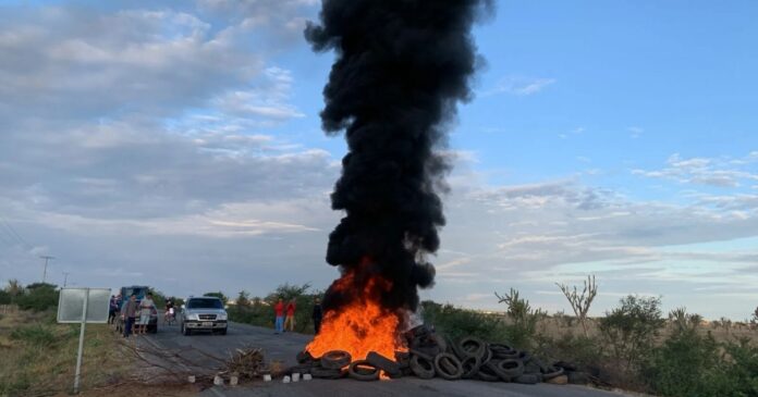 protesto-bloqueia-trecho-de-rodovia-baiana-apos-acidente-com-animal-na-pista