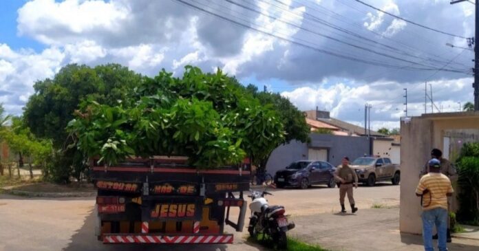 crianca-de-10-anos-morre-em-acidente-de-moto-em-eunapolis