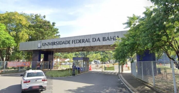 enade-2025:-quatro-instituicoes-atingiram-nota-maxima-em-avaliacao-de-cursos-do-ensino-superior