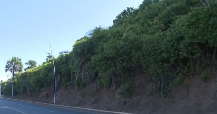 justica-federal-suspende-leilao-de-area-verde-no-morro-do-ipiranga