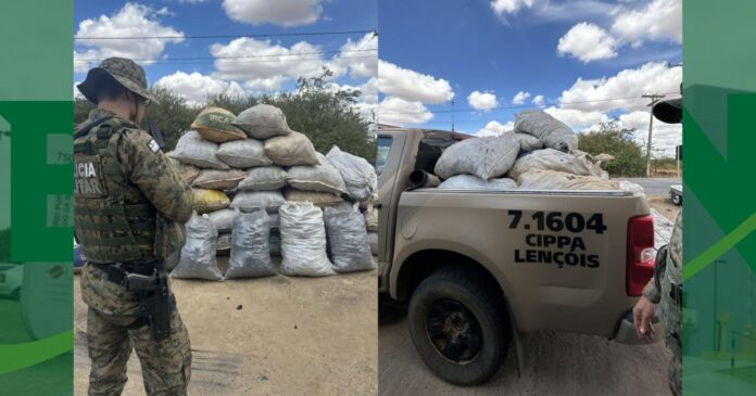 uma-tonelada-de-carvao-vegetal-ilegal-e-apreendida-pela-policia-ambiental-na-regiao-de-irece