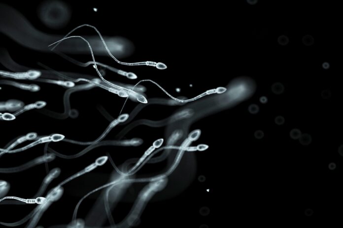cientistas-comecam-a-testar-anticoncepcional-masculino-em-humanos
