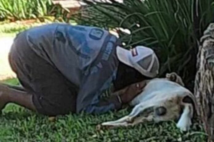 pm-mata-cachorro-com-tres-tiros-em-ponto-turistico-de-pirenopolis