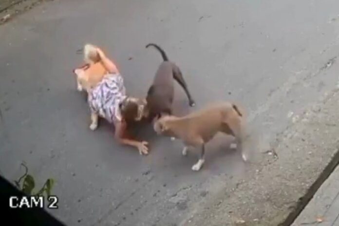 mulher-gravida-cai-no-meio-da-rua-para-evitar-briga-de-caes.-video