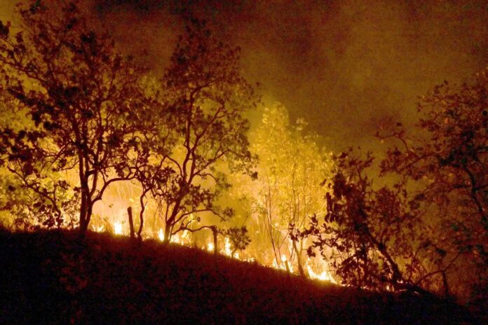 stf-manda-desaproriar-terras-com-incendios-criminosos