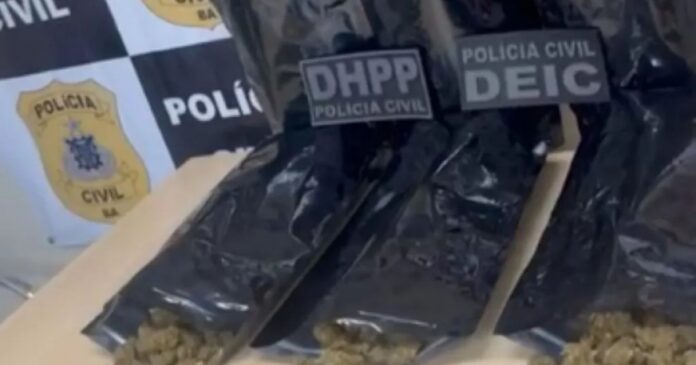 policia-apreende-carga-de-drogas-que-seria-vendida-em-micareta-de-feira-de-santana
