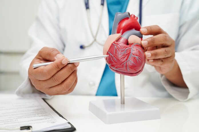 estudo-revela-bebidas-que-podem-prevenir-paradas-cardiacas;-veja