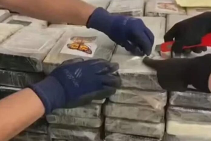 velejador-que-trabalhou-com-amyr-klink-cobrou-r$-1-mi-para-levar-droga