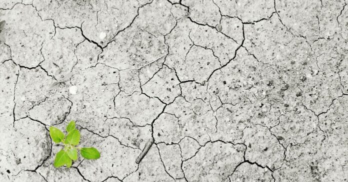 associacoes-de-defensores-publicos-lancam-campanha-justica-climatica-e-justica-social;-entenda