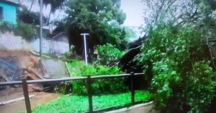 arvore-de-grande-porte-cai-no-dique-do-tororo-e-interdita-via-em-salvador