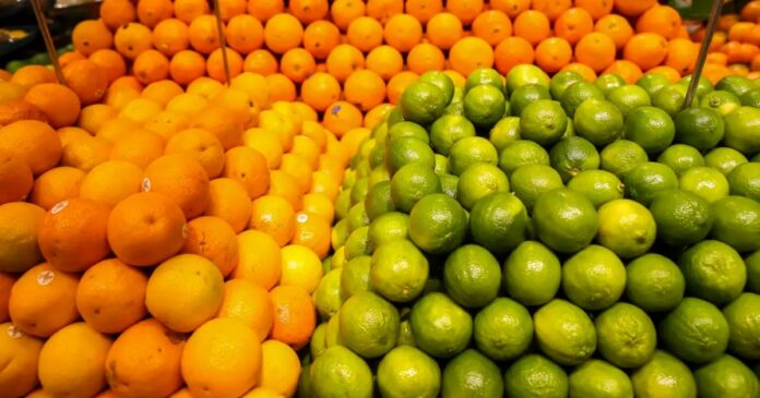 municipio-de-rio-real-pode-se-tornar-capital-estadual-da-laranja-apos-projeto-na-al-ba