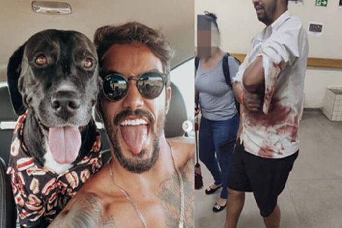 pintor-e-atacado-por-caes-em-mansao-de-influencer-e-ex-de-ferias-com-ex