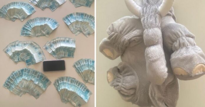 mulher-e-presa-na-bahia-ao-esconder-r$-20-mil-em-bicho-de-pelucia