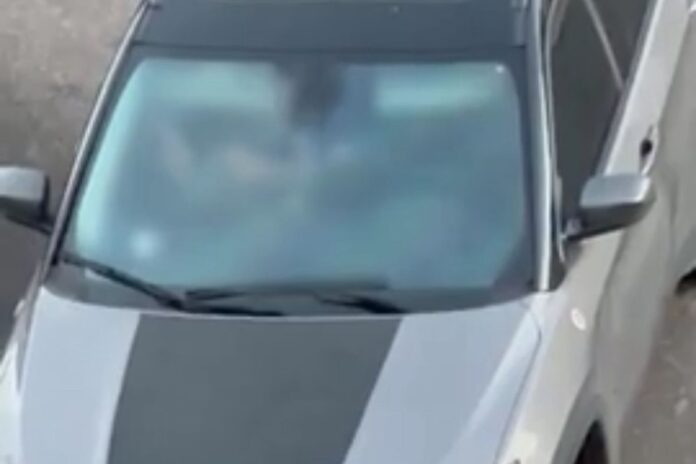video:-casal-transforma-carro-em-motel-disfarcado-em-frente-a-cldf