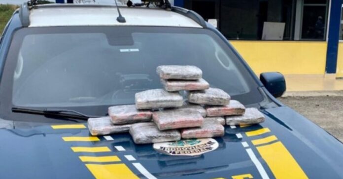 prf-apreende-8-kg-de-maconha-em-onibus-na-br-116,-em-pocoes
