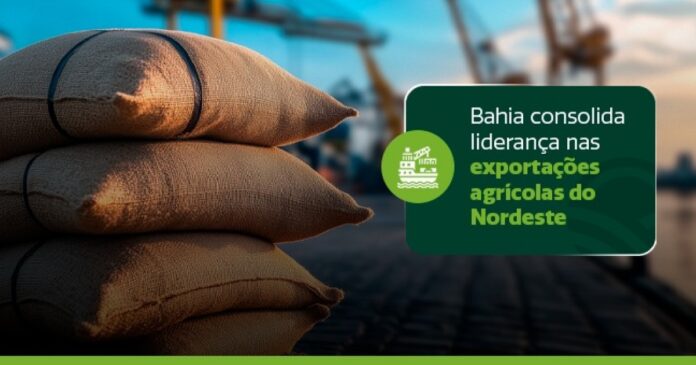 bahia-mantem-lideranca-nas-exportacoes-agricolas-do-nordeste-e-amplia-presenca-global