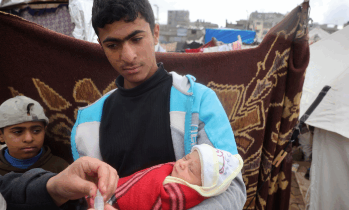 cerca-de-14-mil-bebe-correm-risco-de-morte-em-gaza-nas-proximas-48-horas,-alerta-onu