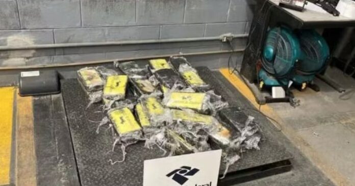 mais-de-60-kg-de-cocaina-sao-encontrados-e-apreendidos-em-carga-de-limoes-no-porto-de-salvador