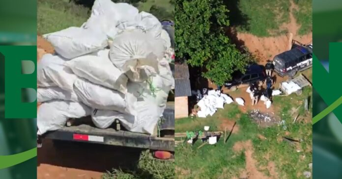 video:-operacao-amordacar-apreende-mais-de-meia-tonelada-de-maconha-no-extremo-sul-baiano