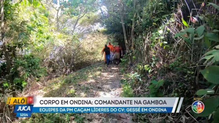 homem-e-encontrado-morto-em-mata-de-ondina