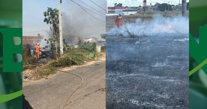 bombeiros-combatem-seis-incendios-em-vegetacao-em-luis-eduardo-magalhaes