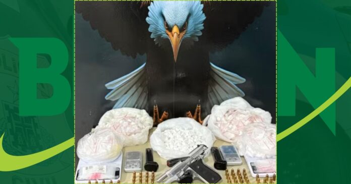 dois-suspeitos-sao-presos-com-cocaina,-arma-e-municoes-em-operacao-na-divisa-norte-do-estado