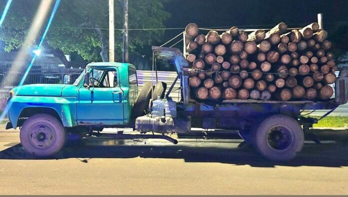 carga-de-madeira-extraida-ilegalmente-e-apreendida-pela-cipe-polo-em-dias-d’avila
