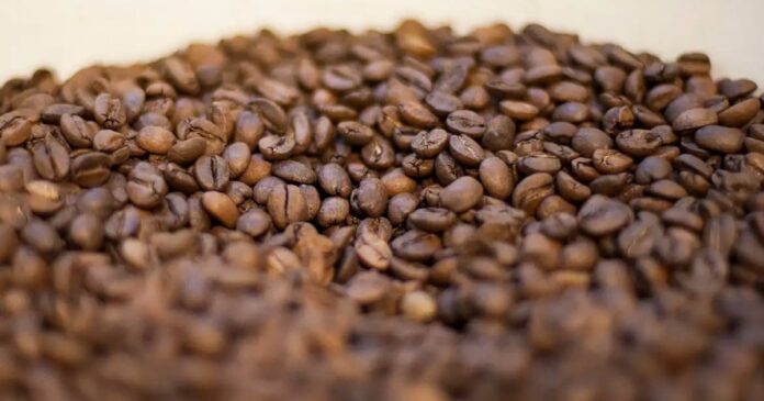 tres-marcas-de-cafe-sao-desclassificadas-por-serem-improprias-para-consumo-no-brasil;-saiba-quais