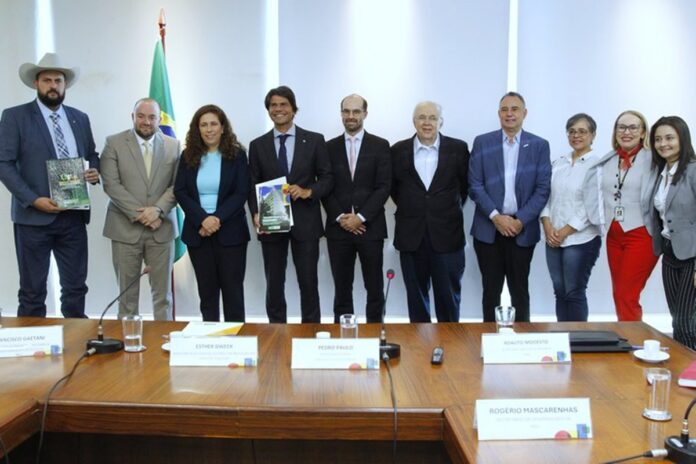 ministra-recebe-deputados-de-gt-da-reforma-administrativa-na-camara