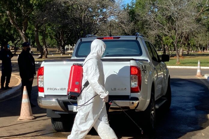 df-descarta-caso-de-gripe-aviaria-em-pombo-encontrado-morto-no-zoo
