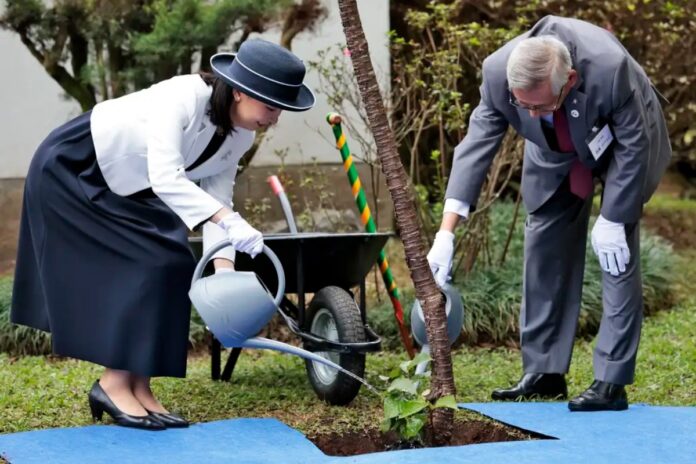 princesa-kako-do-japao-comeca-em-sp-visita-de-11-dias-ao-brasil