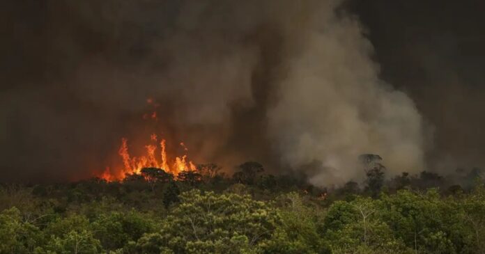 queimadas-impulsionam-desmatamento-na-amazonia-em-92%