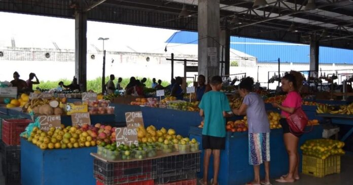 ceasa-do-ogunja-volta-a-funcionar-na-segunda-apos-obras-emergencias