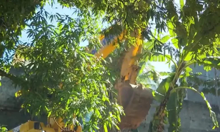 terreiro-em-area-de-protecao-ambiental-e-demolido-em-salvador