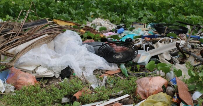 voluntarios-recolhem-mais-de-400-kg-de-lixo-na-ilha-de-itaparica-e-encontram-ate-penico